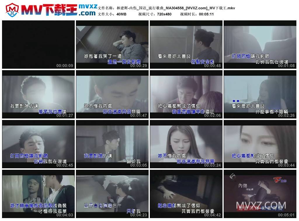 林建辉-内伤_国语_流行歌曲_MA304558